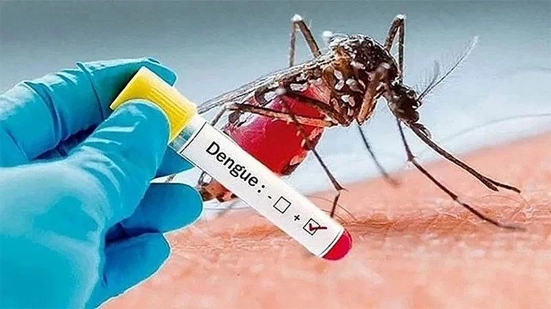 ডেঙ্গুতে মৃতের সংখ্যা বেড়ে দাঁড়িয়েছে ৩১৬ জনে